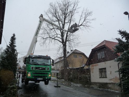 Lípa v Senohrabské - zdvižená plošina..
